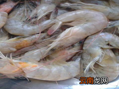 虾买回来不马上煮如何处理