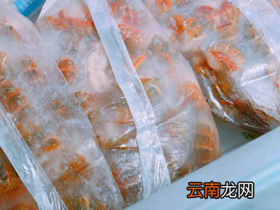 虾买回来不马上煮如何处理