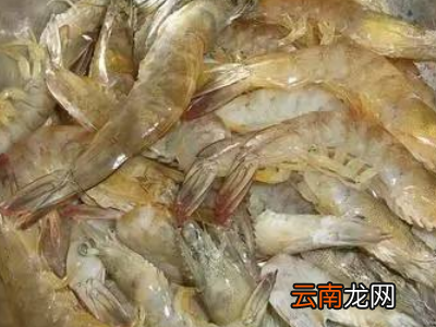 虾买回来不马上煮如何处理