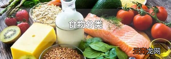 食物分类