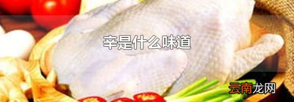 辛是什么味道
