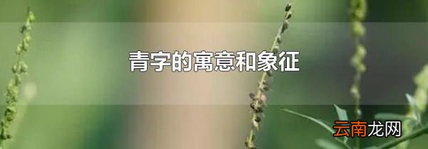 青字的寓意和象征