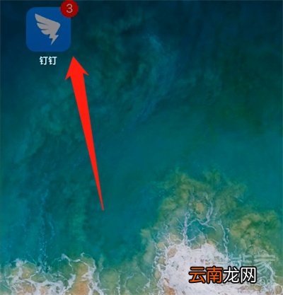 钉钉头像上的小卡通怎么设置