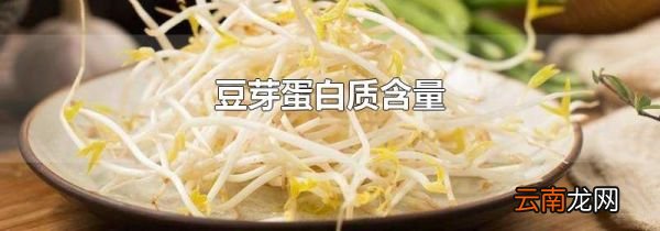 豆芽蛋白质含量