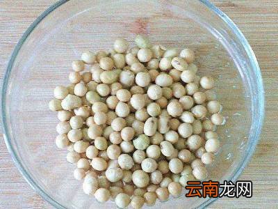 豆芽怎么生