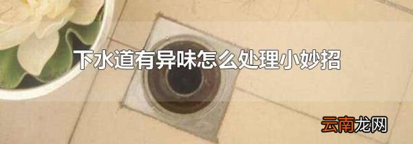 下水道有异味怎么处理小妙招