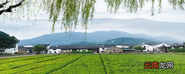 又绿江南岸前面两个是什么字 《泊船瓜洲》原文