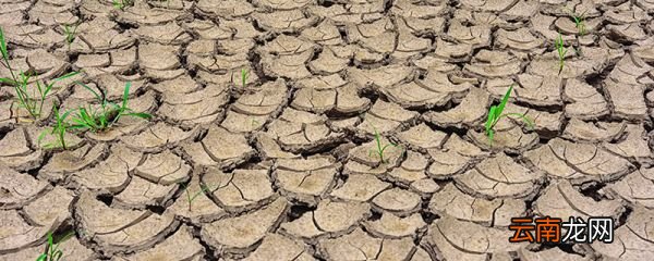 干硬的土地怎样变松软 怎么能让土地不硬