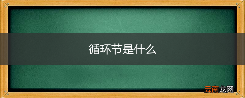循环节是什么