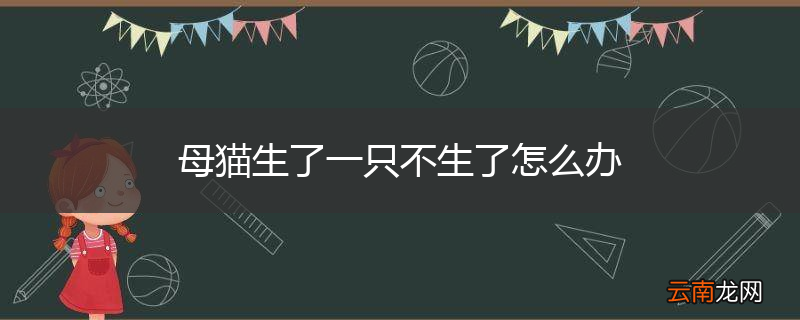 母猫生了一只不生了怎么办