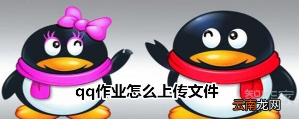 qq作业怎么上传文件
