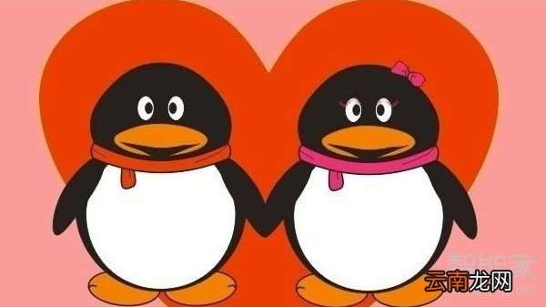 qq作业怎么上传文件