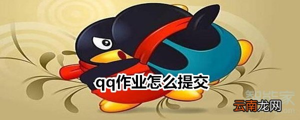 qq作业怎么提交