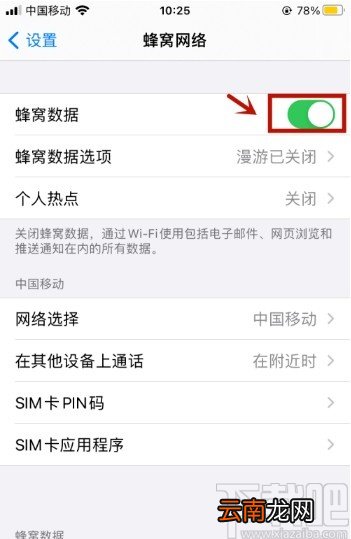 苹果手机打开数据流量的操作方法