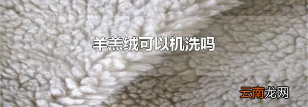 羊羔绒可以机洗吗
