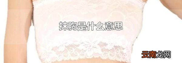 抹胸是什么意思