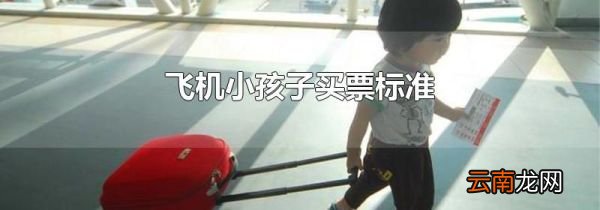 飞机小孩子买票标准
