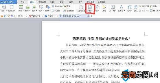 wpsword页码设置详细步骤 在WPS和Word文档中如何设置页码