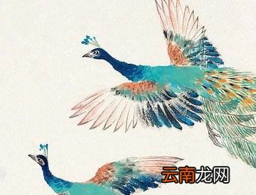 乐府双璧是指什么？