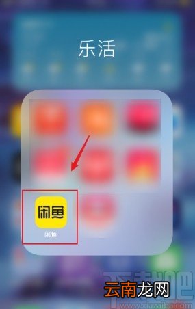 闲鱼app设置语音电话权限的方法步骤