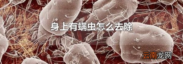 身上有螨虫怎么去除