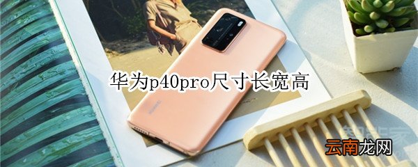 华为p40pro尺寸长宽高