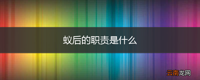 蚁后的职责是什么