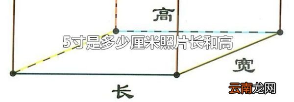 5寸是多少厘米照片长和高