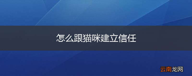 怎么跟猫咪建立信任