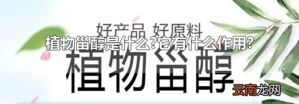 植物甾醇是什么?它有什么作用?