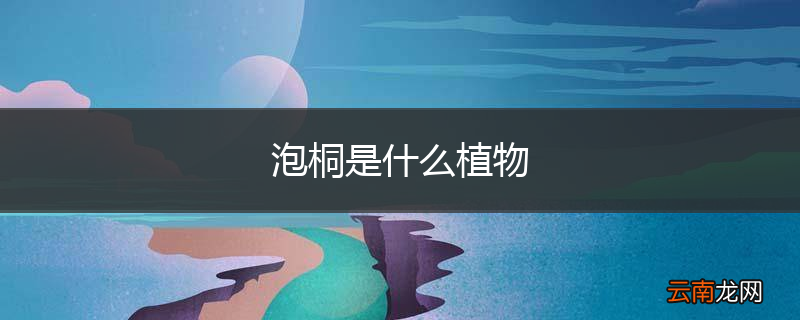 泡桐是什么植物