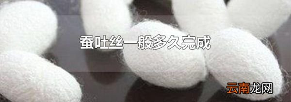 蚕吐丝一般多久完成
