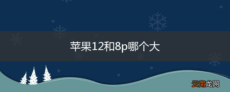 苹果12和8p哪个大