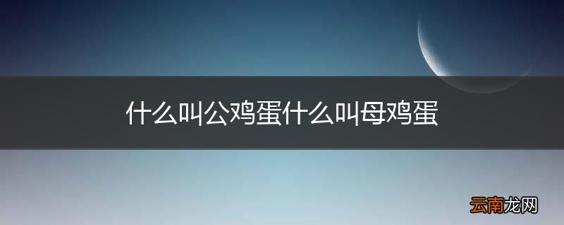 什么叫公鸡蛋什么叫母鸡蛋
