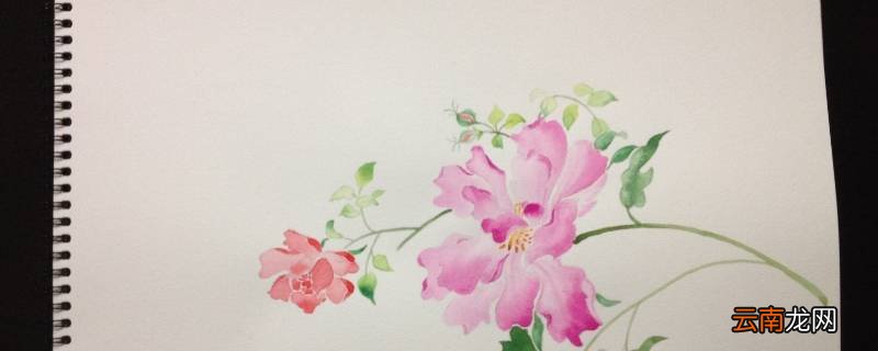 水粉纸和水彩纸有啥区别