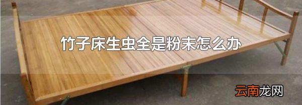 竹子床生虫全是粉末怎么办
