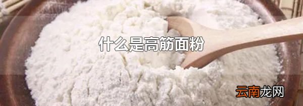 什么是高筋面粉