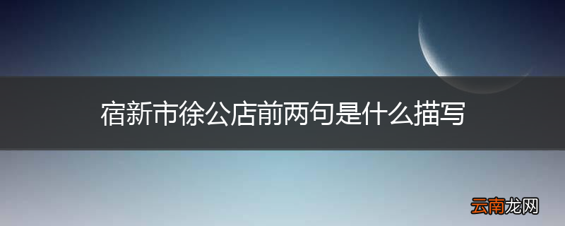 宿新市徐公店前两句是什么描写