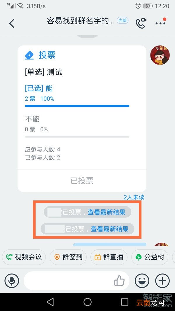 钉钉群投票结果如何查看