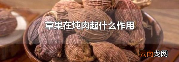 草果在炖肉起什么作用