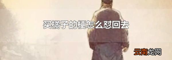 买橘子的梗怎么怼回去