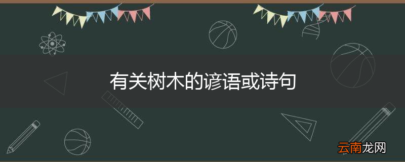 有关树木的谚语或诗句