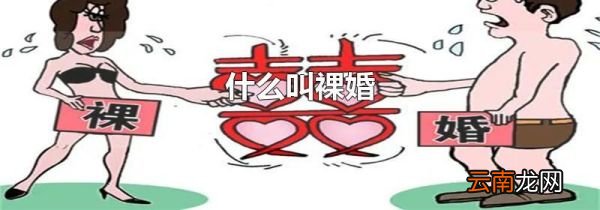 什么叫裸婚
