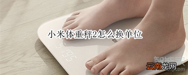 小米体重秤2怎么换单位