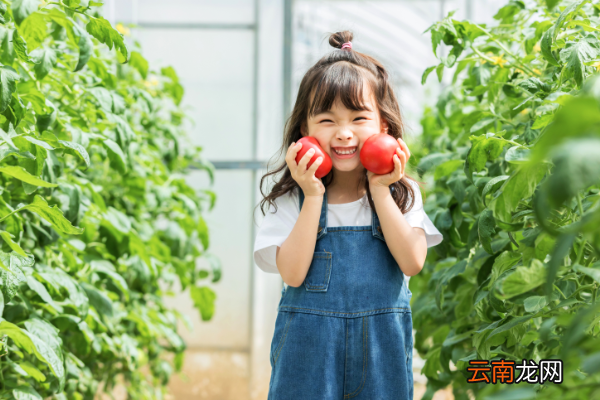 学前儿童心理发展的特点学前儿童各年龄段特点