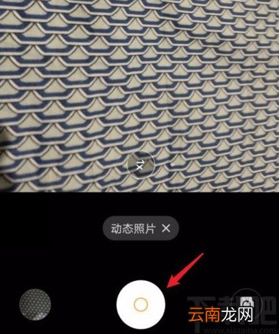 vivo手机拍摄动态照片的方法