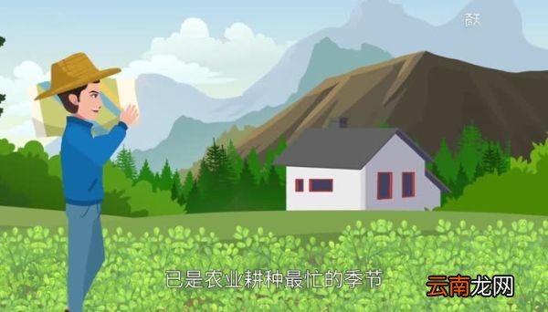 芒种是什么季节 芒种时节是什么季节