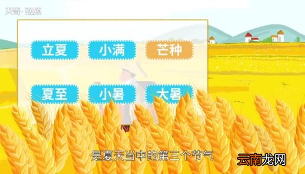 芒种是什么季节 芒种时节是什么季节