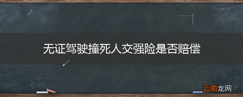 无证驾驶撞死人交强险是否赔偿