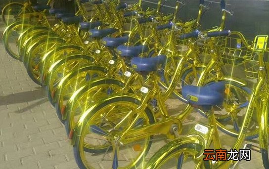 金色的共享单车是怎么样？金闪闪单车如何借？